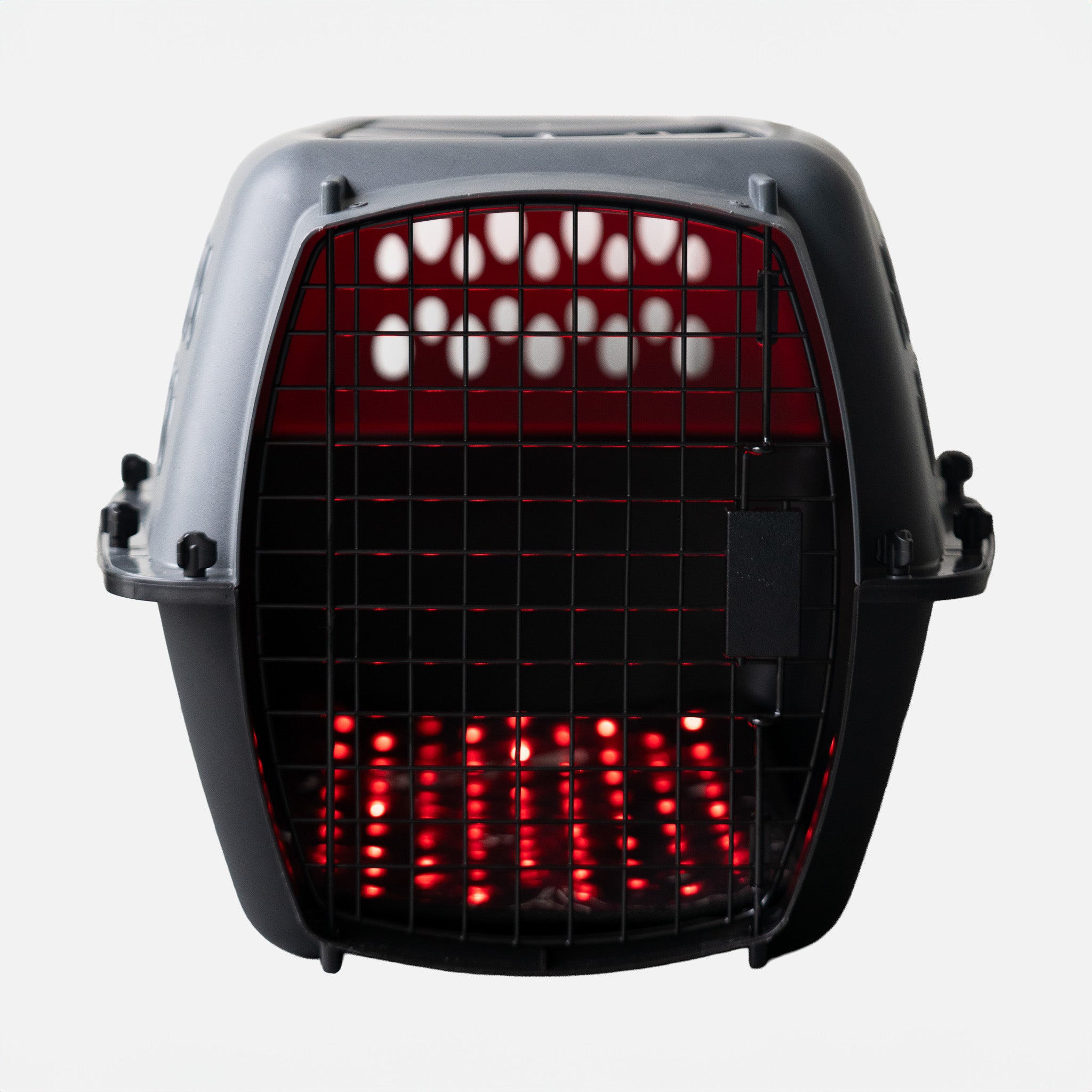 red light therapy for pet arthritis | CatSol by EquiSol | Red Light Therapy for cats and small pets