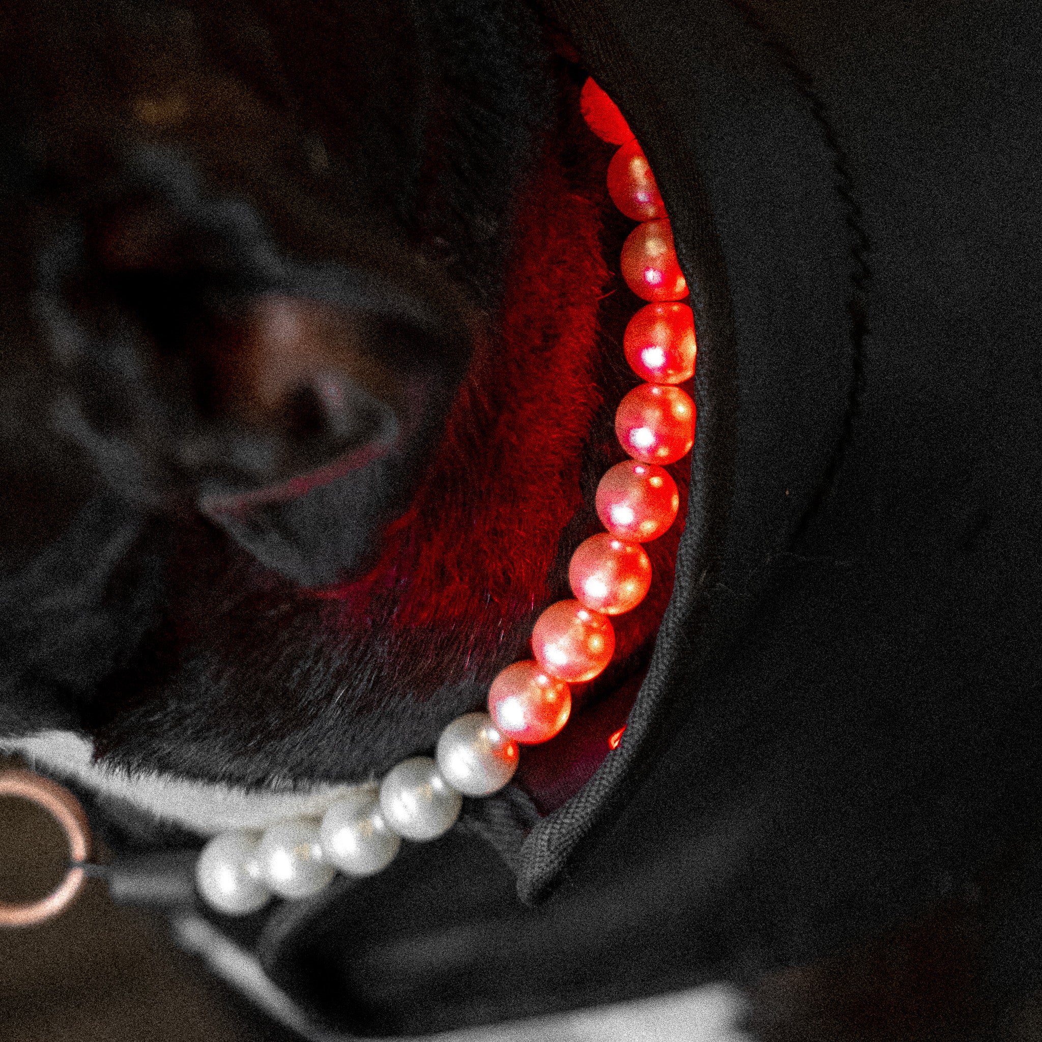 red light therapy for skin conditions in dogs