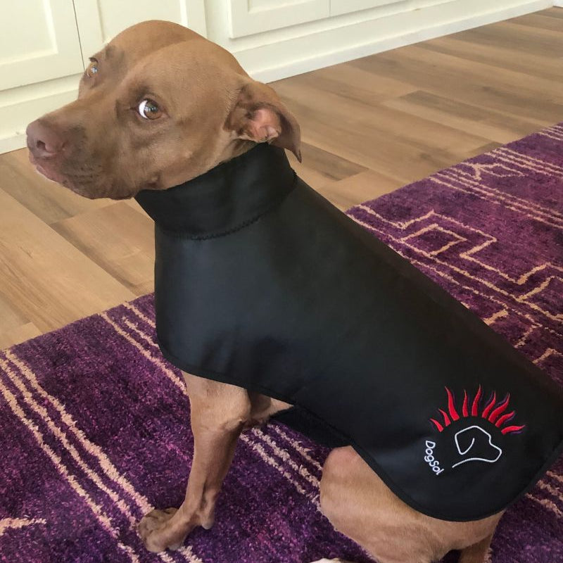 DogSol benefits for red light therapy for dogs. DogSol therapeutic red light.