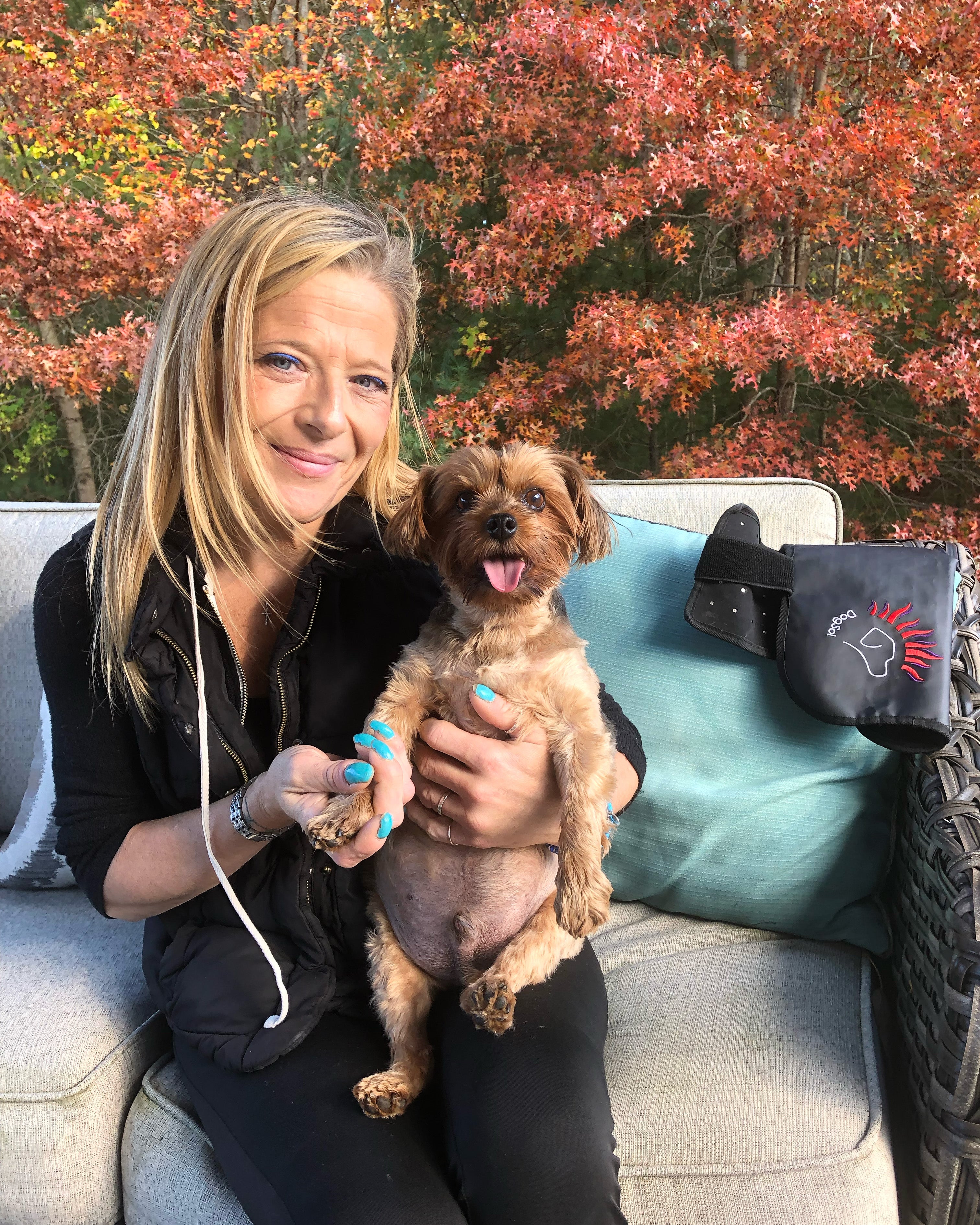 Red light therapy for dogs with paralysis. Paralyzed dog treatment success.