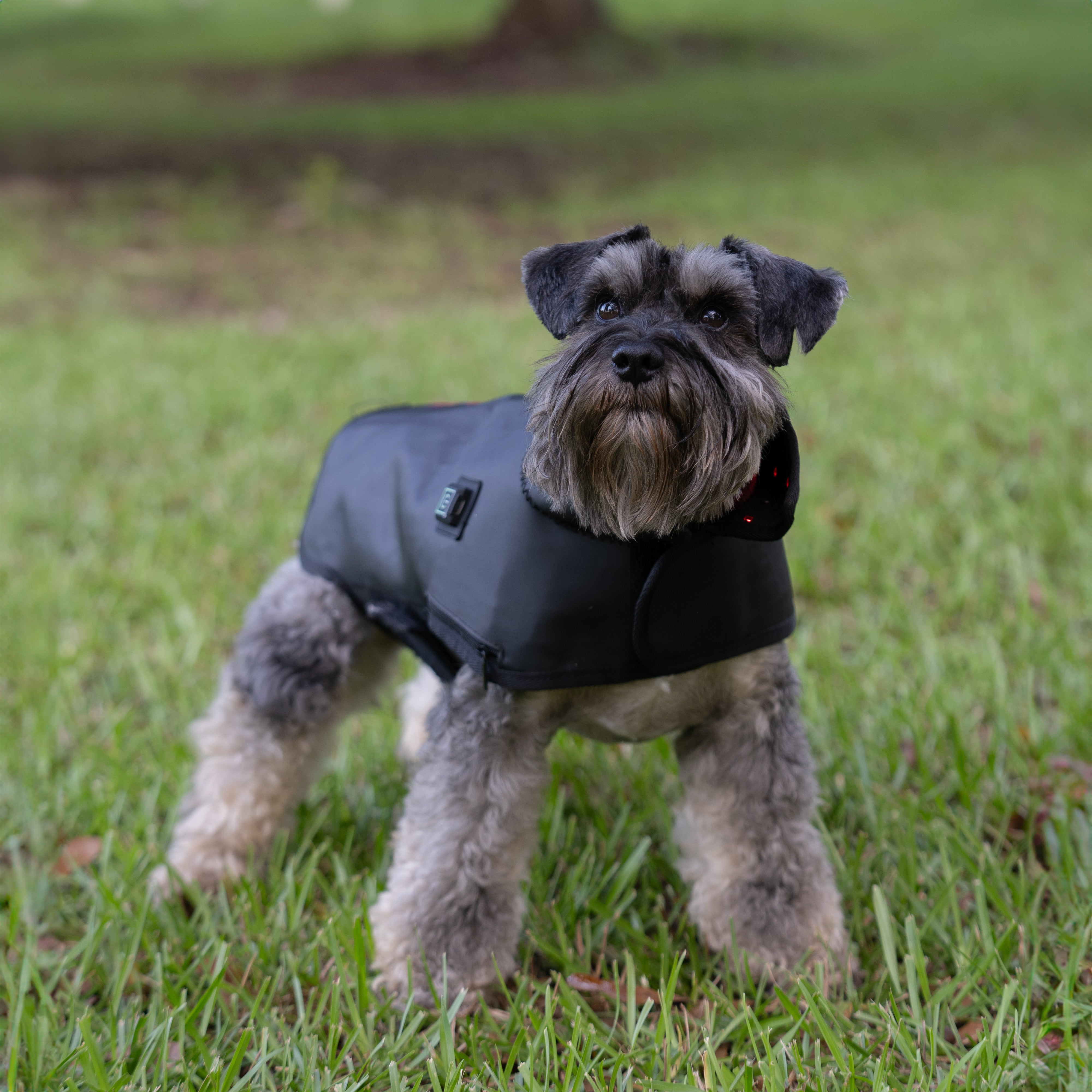 DogSol Canine Dog Infrared Light Therapy Blanket XSmall